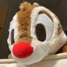 バニラアイス's profile picture