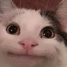 Profilbild von P e d r o
