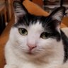 中由's profile picture