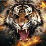 Busa Boy's profile picture