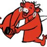 Profilbild von bot amish matricule 35034