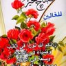 Profilbild von Mohamed Diaa