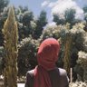 Фото профиля 🇵🇸 Areej Abdelhadi