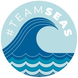 teamseas's profile picture
