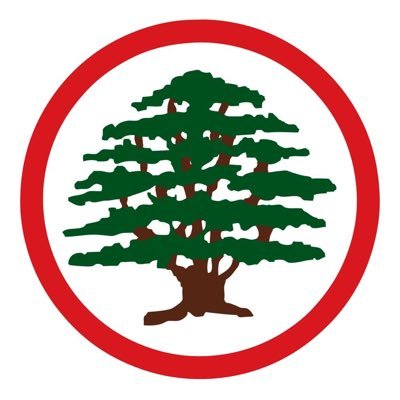 Lebanese Forces News's profile picture