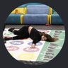 InutiLee's profile picture