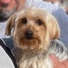Hugo's profile picture