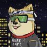 Фото профиля MIYAGI-DOGE