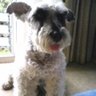 まさ's profile picture