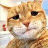 王守义的13香 profil fotoğrafı