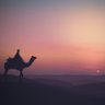 مسلم's profile picture