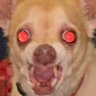 Psybersaurus's profile picture
