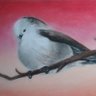 🐦 Burb's profile picture