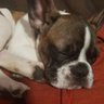 Esther Aguado 🎗's profile picture