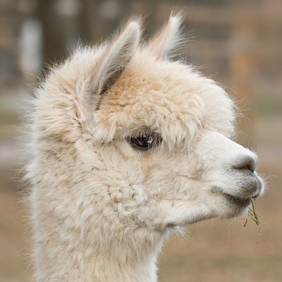roadtonoplace's profile picture