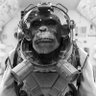 G3orG3's profile picture