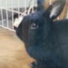 boysweet profil fotoğrafı