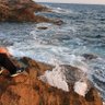 amneate profil fotoğrafı