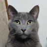 Liliana_Mod profil fotoğrafı