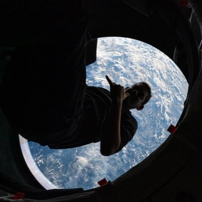 Jared Isaacman's profile picture