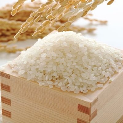米俵おむすびころり's profile picture