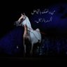 أبو هديل.💌's profile picture