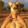 Delo's profile picture