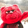 Profilbild von hikari🐻