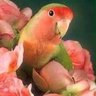 Фото профиля 石井由紀子