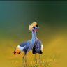#TEAM KULABISA's profile picture