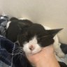 Profilbild von リュー