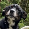 Profilbild von Woof