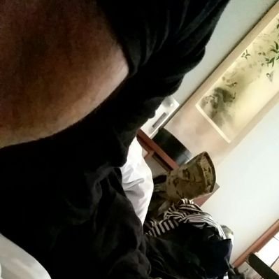縦横無尽な矛先's profile picture