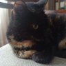Claudia's profile picture