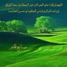 بن الحسيني 的头像