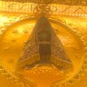 Фото профиля Qualquertema