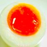 Profilbild von 🥚半熟卵🥚