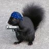 DeplorabCthulhu's profile picture