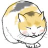 Фото профиля スナネコきどり