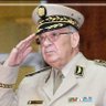 مراد عبدي's profile picture