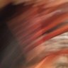 Profilbild von ChiTownCharlie