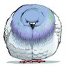 Фото профиля 初丸うげべそ🕊『ちゅんトーク3』5/19発売