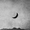 Requiem's profile picture