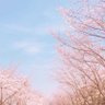 宫田久美子 profil fotoğrafı