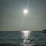 Midas profil fotoğrafı
