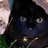 Фото профиля charcolpastel