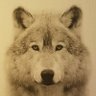 Profilbild von Jon