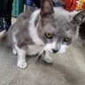 Фото профиля Me pregunto