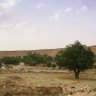 Abu Abdullah profil fotoğrafı