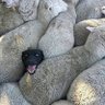 Hjjsjksks hshsjsh profil fotoğrafı